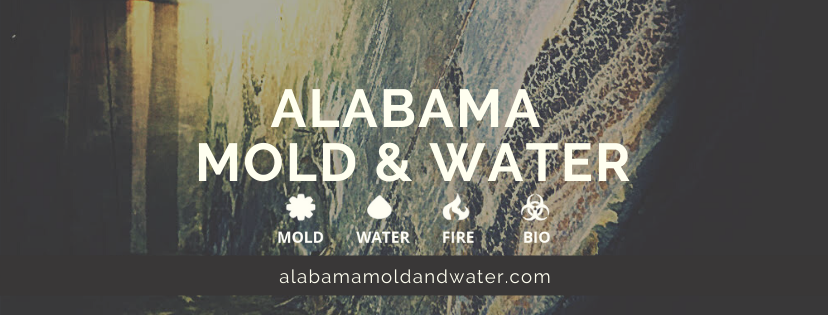 Alabama Mold And Water, LLC