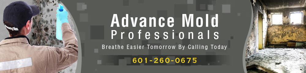 Advanced Mold Professionals