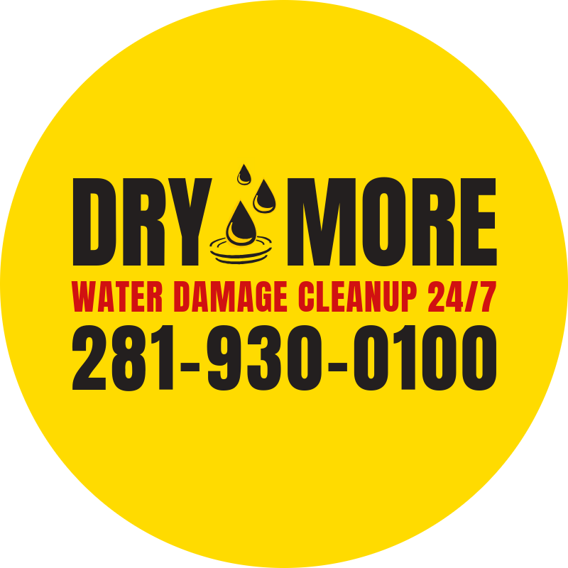 DryMore logo