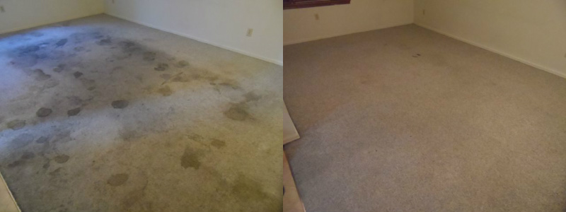 Maximum Carpet & Restoration