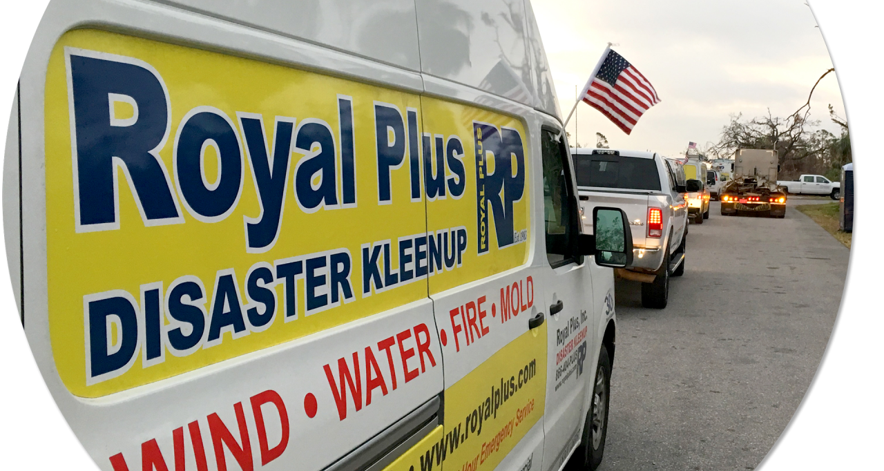 Royal Plus Inc. - Florida