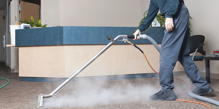 Pro-Steam Carpet & Upholstery Cleaning