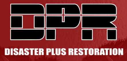 Disaster Plus Restoration logo