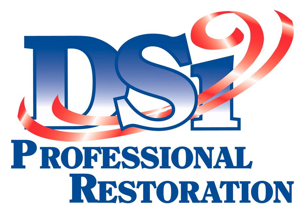 DSi Professional Restoration logo