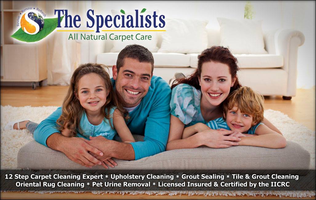 The Rug Specialist