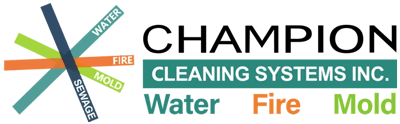 Champion Cleaning Systems