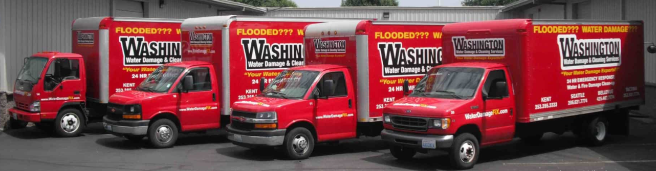 Washington Water Damage & Cleaning Services
