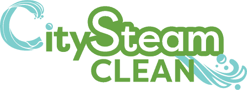 City Steam Clean logo