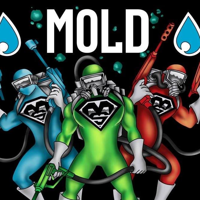 Mold Squad Restoration & Contracting