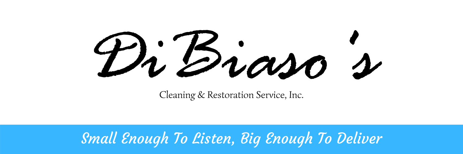 Dibiaso's Cleaning and Restoration Services