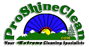Pro Shine Cleaning & Restoration