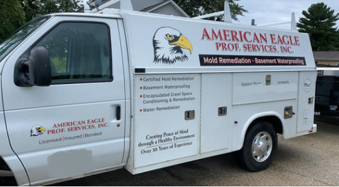 American Eagle Professional Services, Inc.